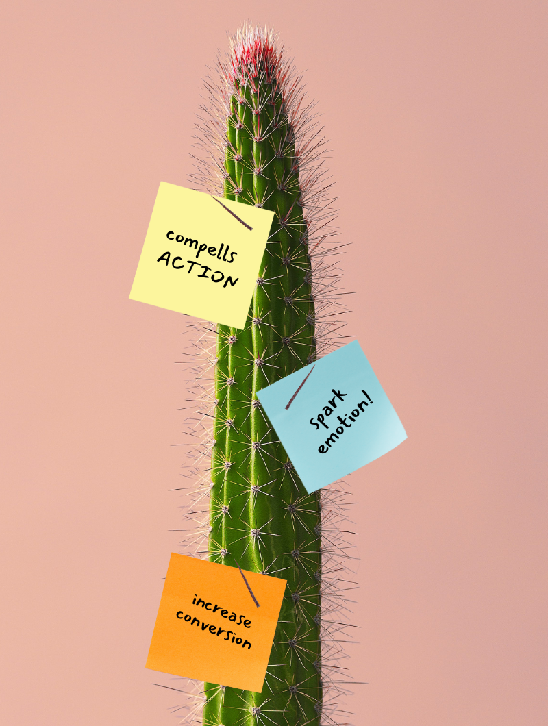 Copywriting Cactus